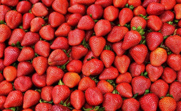 Fără acest dressing simplu, căpșunile tale vor da roade prost: ce este important să știi
